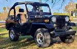 Mitsubishi Jeep 1995 г. запутает владельцев Wrangler