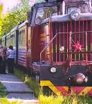 Алапаевская узкоколейка по-прежнему остается "Дорогой жизни" на Урале