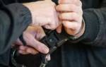 Бастрыкин об экстрадиции экс-министра финансов Подмосковья: Справедливость восторжествовала