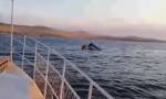 Легкомоторный самолет потерпел крушение и рухнул в Байкал
