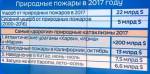 Лесные пожары станут катастрофой XXI века