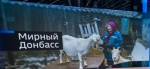 На закаленных жителей Донбасса угрозы Киева не действуют