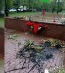Ночью в Бресте неизвестные подожгли венки в парке Воинов-интернационалистов