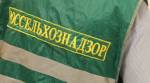 Россельхознадзор озабочен ложным транзитом мяса и молока из Беларуси