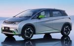 Специальные китайские бренды: новости BYD за 2023 год