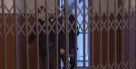 Связь с криминалом: бывший сотрудник СК РФ Александр Ламонов получил 5 лет строгого режима