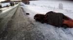 Три человека погибли и пять пострадали в ДТП на Урале