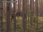 В Карелии найдены останки четырех красноармейцев