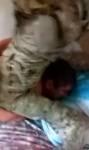 В Краснодарском крае задержана банда подпольных паспортистов