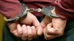 В Польше задержан хозяин квеструма, в котором сгорели пять девочек