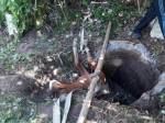 В Рогачевском районе спасатели достали из колодца жеребёнка