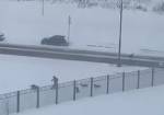 Видео: москвич отбил своего питомца у стаи бездомных собак
