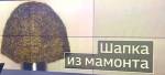 Житель Якутии продает шапку из шерсти мамонта за 10 тысяч долларов