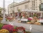 "Золотая осень" пришла в Москву раньше, чем пожелтели листья